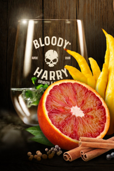 Bloody Harry Premium Dry Gin, 44%vol. | 0,5l inkl. original Gin-Glas Bloody Harry