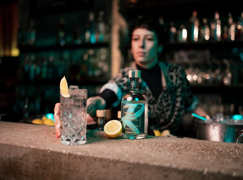 Rebels Botanical Dry alkoholfrei 0,0% Botanical Spirit inspired by Gin - Lantenhammer